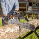 Man using a STIHL chainsaw to cut through a log outdoors, demonstrating professional power and reliability of STIHL equipment sold at  in Lindale, Texas