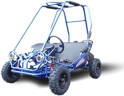 TrailMaster Mini XRS kids go kart